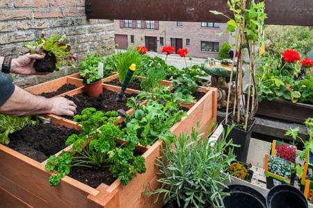 Comment aménager un jardin sur son balcon ? 